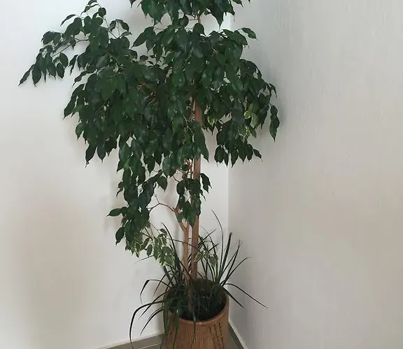 Πανσιόν Complex Laguna-kantardzhiev Πριμόρσκο